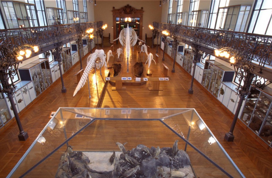 Museu Oceanográfico de Mônaco