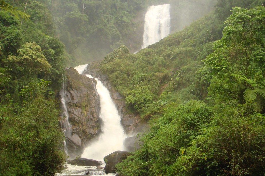 A Cachoeira dos Veados tem um dos acessos mais difíceis dentre as cachoeiras que se encontram no <a href="https://gutenberg.viagemeturismo.abril.com.br/atracao/parque-nacional-da-serra-da-bocaina/" target="_blank">Parque Nacional da Serra da Bocaina</a>, na divisa entre os Estados de <a href="https://gutenberg.viagemeturismo.abril.com.br/estados/sao-paulo/" target="_blank">São Paulo</a> e <a href="https://gutenberg.viagemeturismo.abril.com.br/estados/rio-de-janeiro/" target="_blank">Rio de Janeiro</a>. As duas quedas d’água que somam 200 metros só são acessíveis pela <a href="https://gutenberg.viagemeturismo.abril.com.br/atracao/trekking-na-trilha-do-ouro-2/" target="_blank">Trilha do Ouro.</a> A caminhada é intensa e tem pelo menos 5 horas de duração.