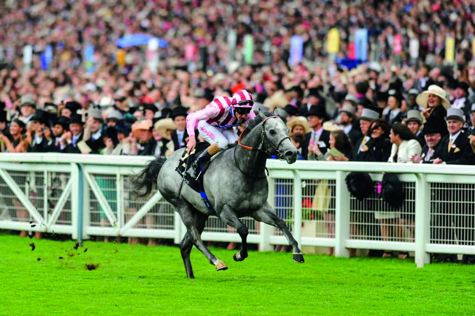 royalascot