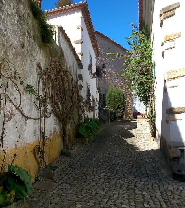 rua 2