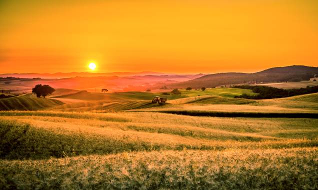 Com seus vales e campos a perder de vista no horizonte, a <a href="https://viajeaqui.abril.com.br/cidades/italia-toscana" rel="Toscana" target="_blank">Toscana</a> é um dos destinos mais procurados no mundo para ver o pôr do sol<a href="https://viajeaqui.abril.com.br/materias/qual-e-o-melhor-por-do-sol-do-mundo" rel="+ Qual é o melhor pôr do sol do mundo?" target="_blank">+ Qual é o melhor pôr do sol do mundo?</a> Com seus vales e campos a perder de vista no horizonte, a <a href="https://viajeaqui.abril.com.br/cidades/italia-toscana" rel="Toscana" target="_blank">Toscana</a> é um dos destinos mais procurados no mundo para ver o pôr do sol<a href="https://viajeaqui.abril.com.br/materias/qual-e-o-melhor-por-do-sol-do-mundo" rel="+ Qual é o melhor pôr do sol do mundo?" target="_blank">+ Qual é o melhor pôr do sol do mundo?</a>