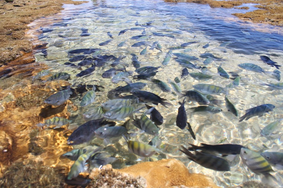 A praticamente deserta Praia de Itaquena, onde só é possível chegar após 1 hora e meia de caminhada, a partir da Ponta de Itapororoca