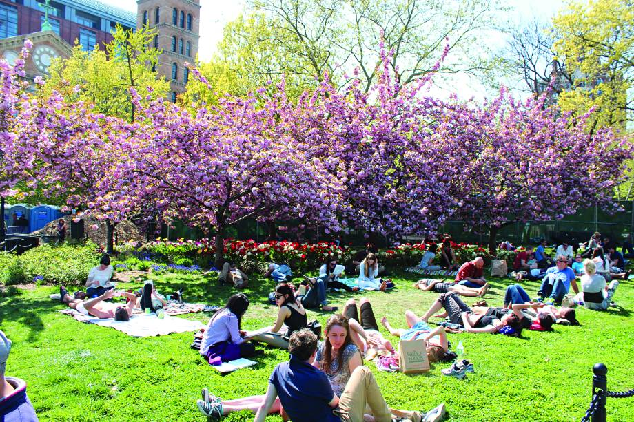 "A Washington Square é a cara da cidade, com estudantes almoçando pelos gramados, músicos, pintores, cachorros, crianças... além do arco de mármore que dá o charme da praça. Ande até a <a href="https://gutenberg.viagemeturismo.abril.com.br/atracao/bleecker-street/" target="_blank">Bleecker Street</a>, repleta de lojas e restaurantes. O lendário jazz club <a href="https://gutenberg.viagemeturismo.abril.com.br/restaurante/blue-note/" target="_blank">Blue Note</a> e o clube de humor <a href="https://www.comedycellar.com/" target="_blank">Comedy Cellar</a> estão ali do lado.”