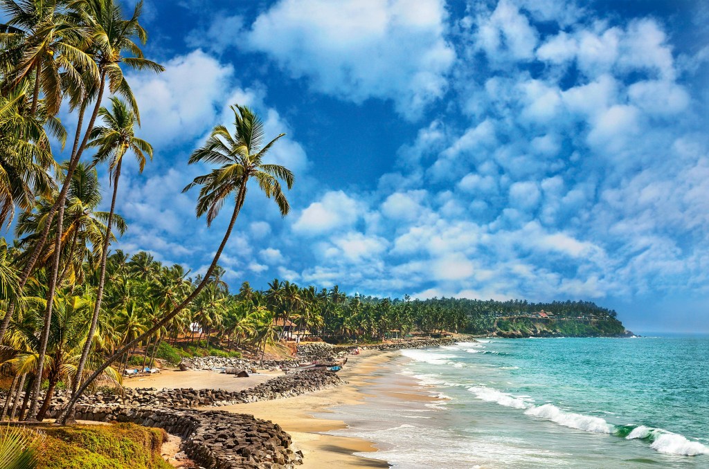 praia quase vazia de sinais humanos embaixo de um céu sem nuvens. Não há muita areia e os coqueiros existem em abundância