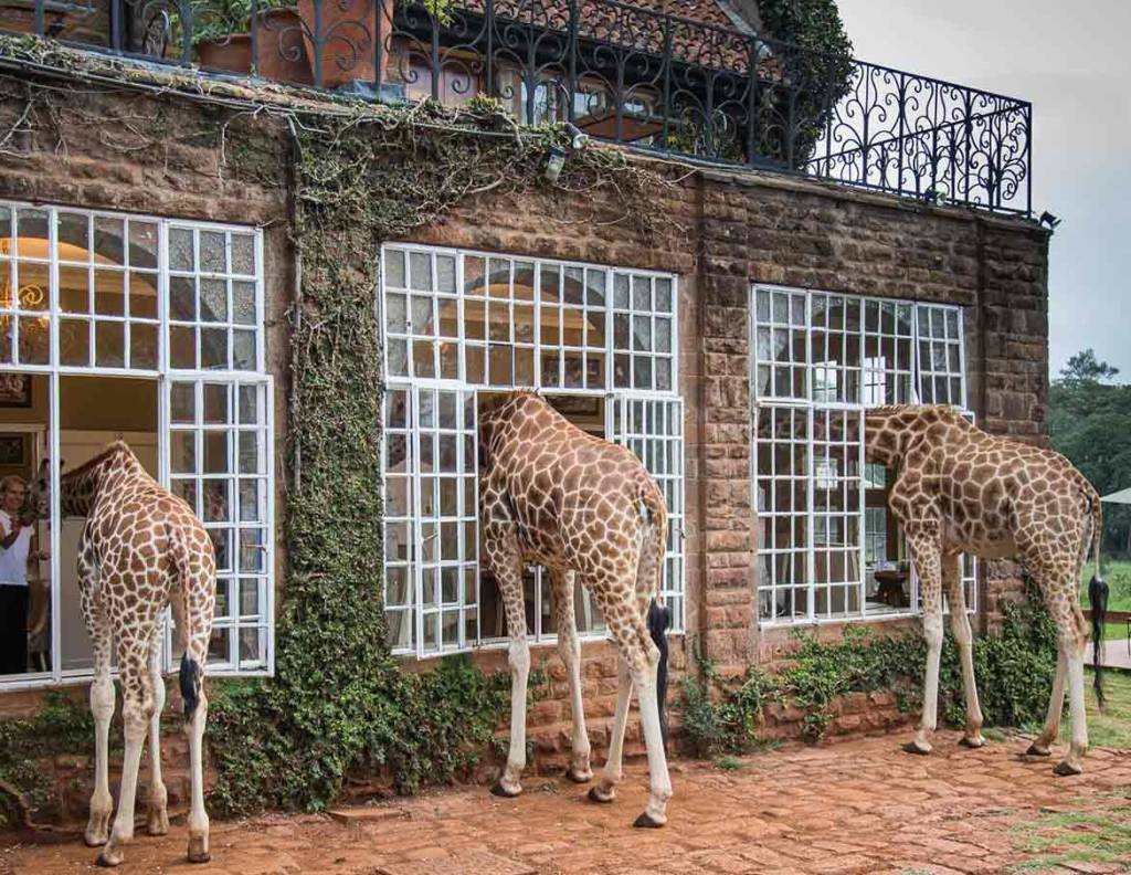 Giraffe Manor, Nairóbi, Quênia