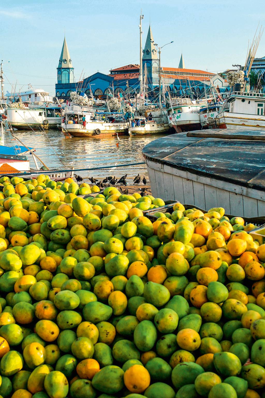 Barcos lotados de frutas e outros produtos atracam no porto de Ver-o-Peso; em primeiro plano, mangas verdes e maduras empilhadas