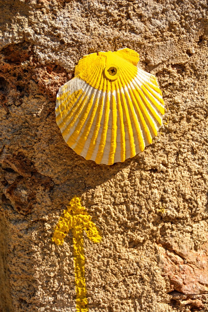 Concha de vieira, Santiago de Compostela, Espanha