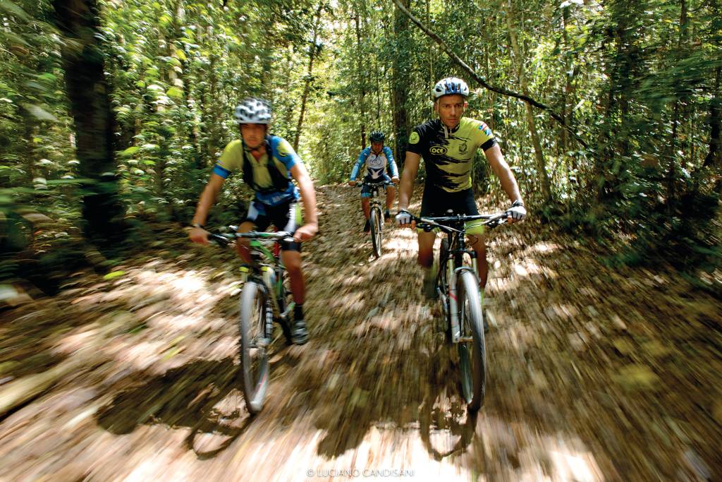 Três ciclistas, desfocados por conta da alta velocidade, pedalam em direção à câmera por uma trilha no meio da floresta