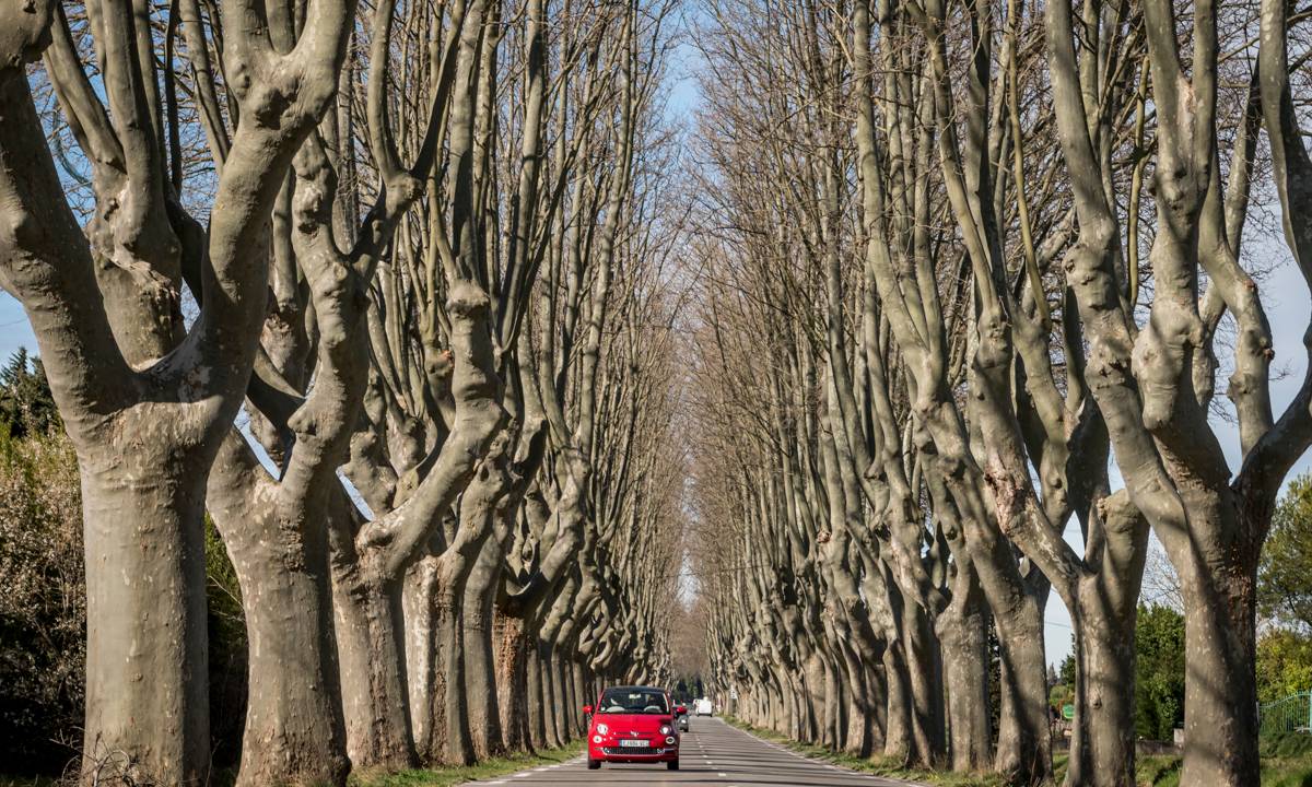 Arredores de St-Rémy-de-Provence: o caminho é também o destino