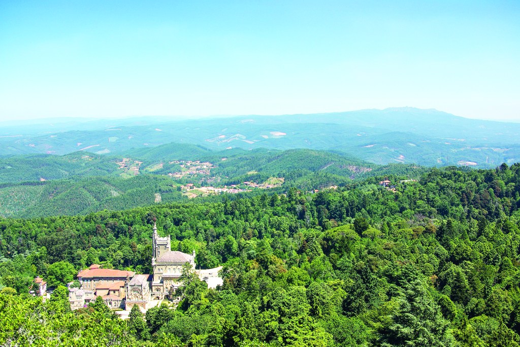 Mata Nacional Buçaco, Portugal