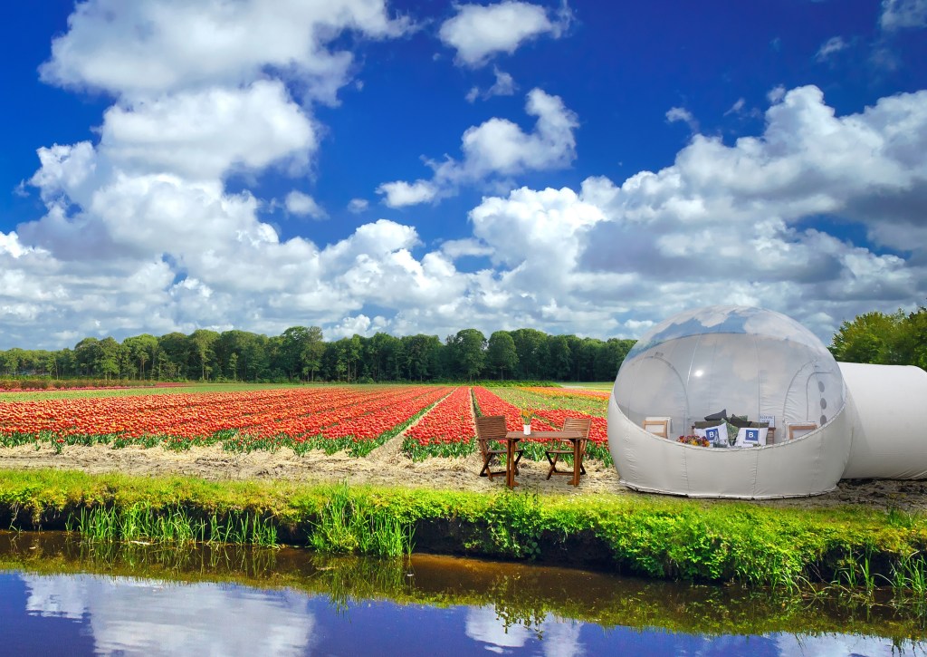 Tulip Pod, hospedagem em Keukenhof, Holanda