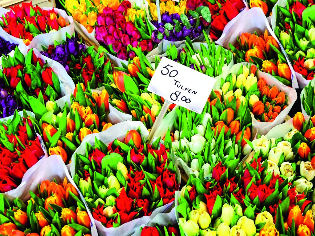 Tulipas em Amsterdã