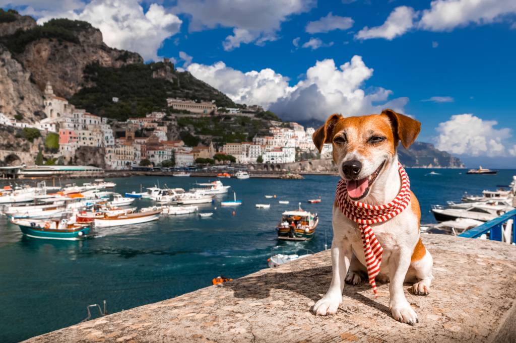 Cachorro viajando na Itália