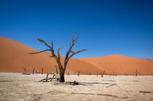 Dead_Vlei_Namíbia