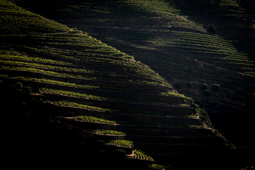 Vale do Rio Douro, Portugal