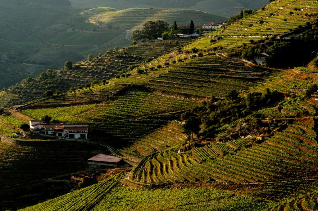 Vale do Rio Douro, Portugal