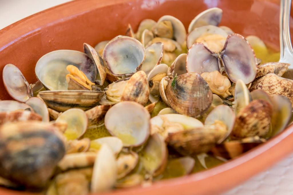 Zé Inácio, Porto Covo Zé Inácio, Porto Covo