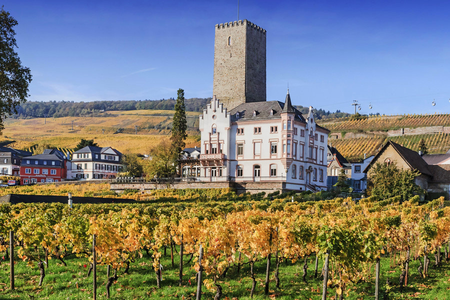 Boosenburg ou Oberburg Castle, Rüdesheim am Rhein, Alemanha Boosenburg ou Oberburg Castle, Rüdesheim am Rhein, Alemanha