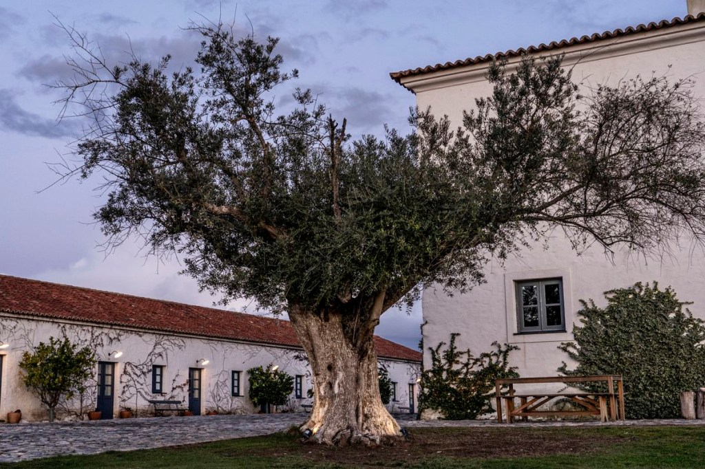 Mesas de madeira e plantas em um terraço do hotel Mama Shelter em Lisboa