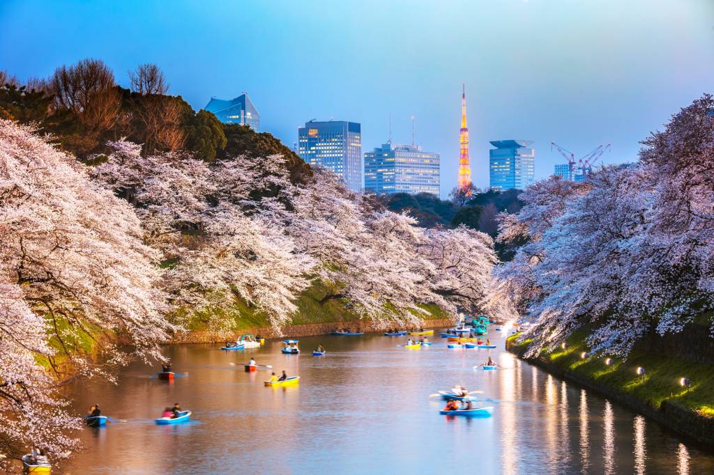 Chidorgafuchi moat at night with cherry blossom, Tokyo Chidorgafuchi, Tóquio, Japão