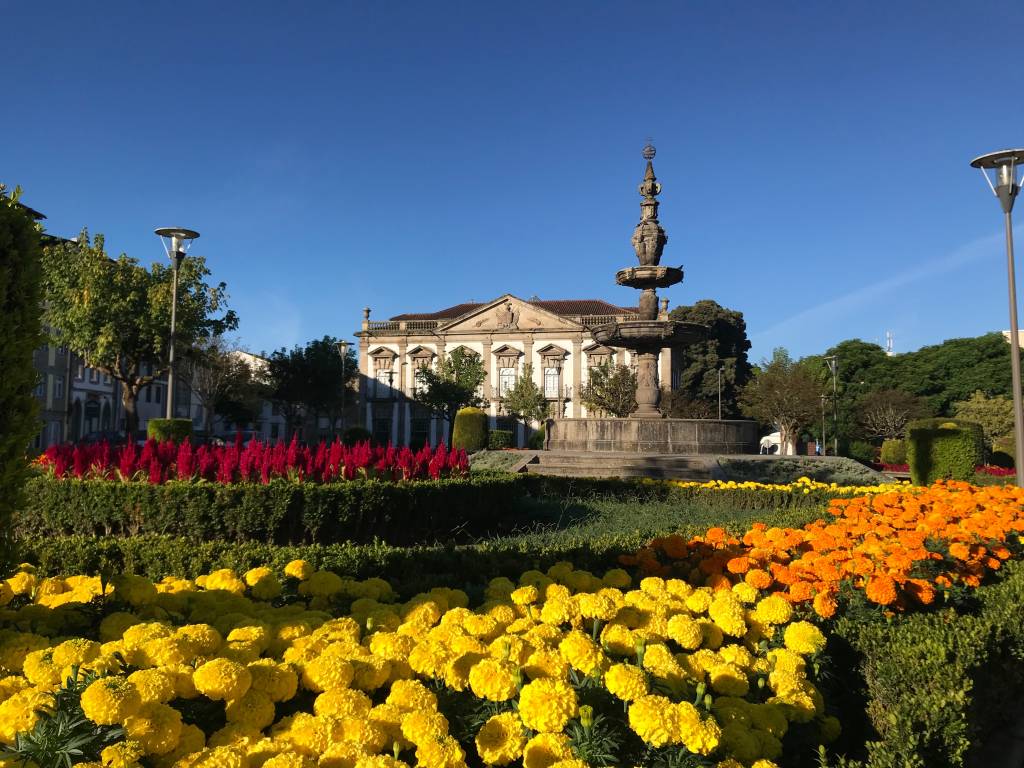 rafael-molica-qy_9ec9d7cE-unsplash-CampoDasHortas rafael-molica-qy_9ec9d7cE-unsplash-CampoDasHortas