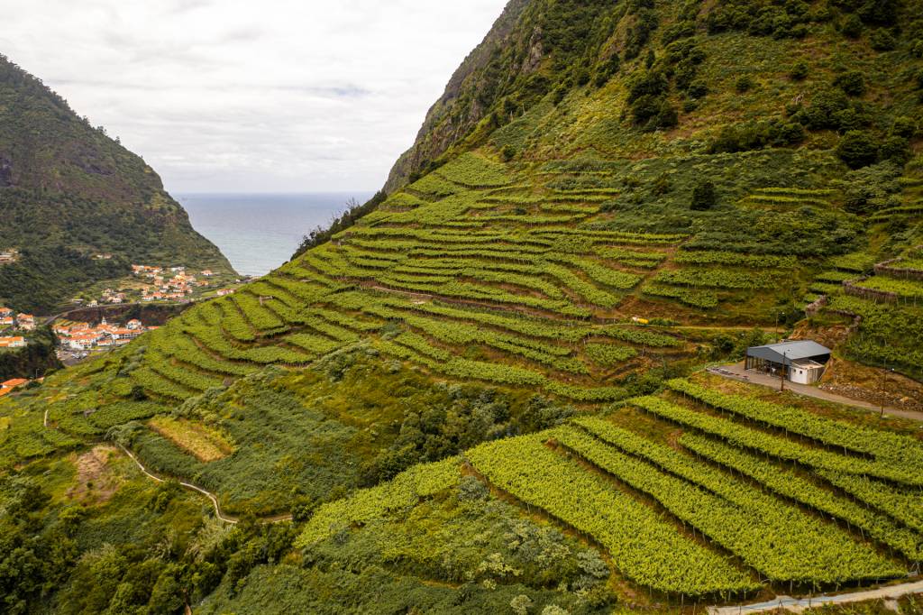 Quinta do Barbusano: um pontinho em meio ao mar de vinhedos que se abre para o mar