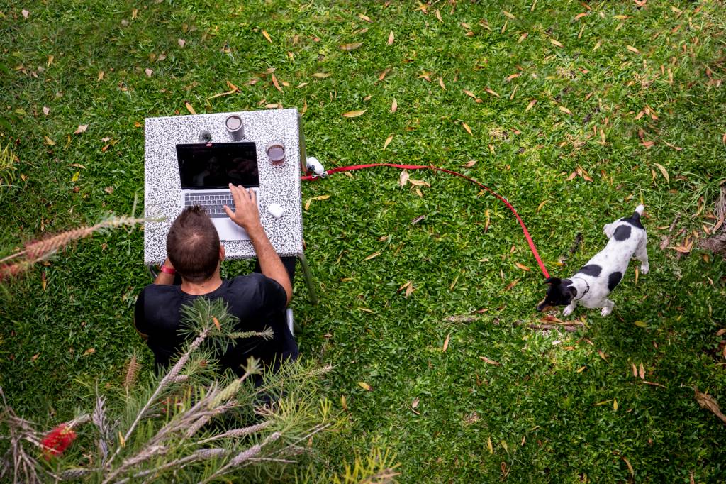 Jovem a trabalhar no computador ao ar livre, no jardim da Digital Nomads, na Ponta do Sol, acompanhado de seu cachorro
