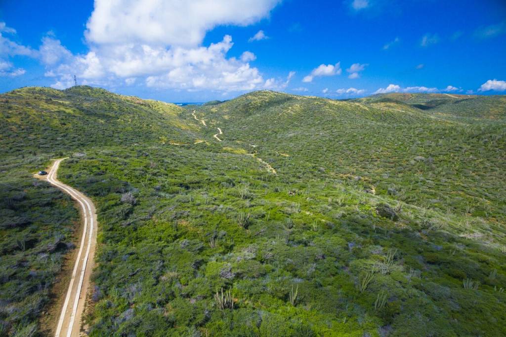 Vista aérea do Parque Nacional Arirok, Aruba, Caribe Vista aérea do Parque Nacional Arirok, Aruba, Caribe