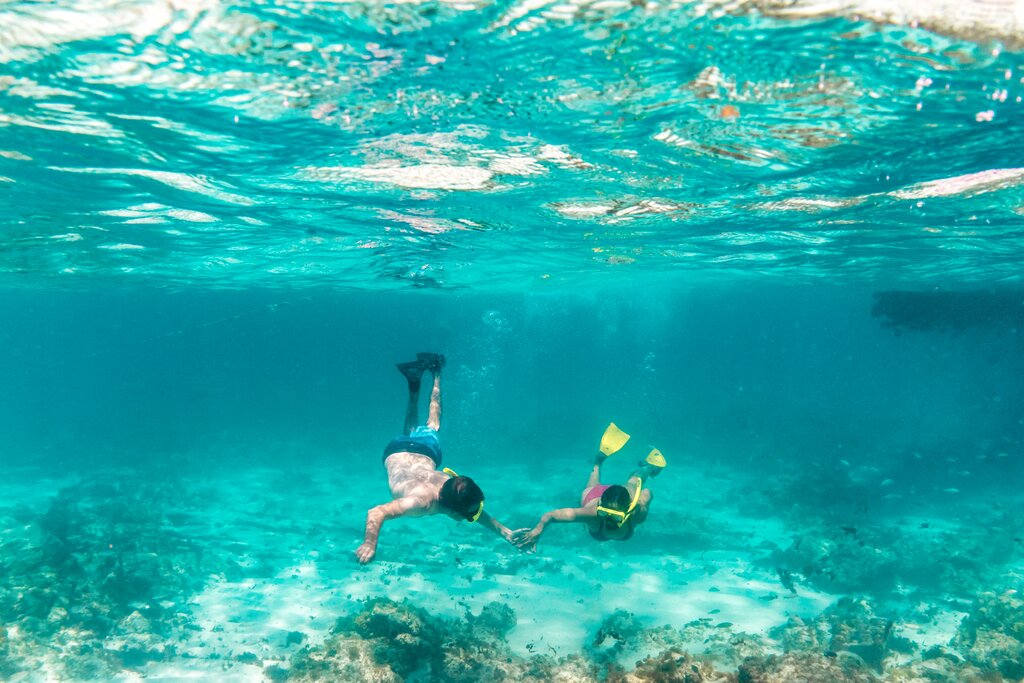 Snorkel, Aruba, Caribe