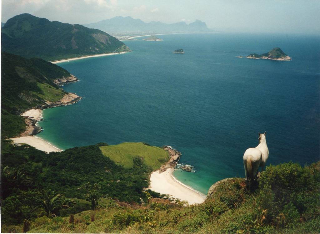 WhatsApp-Image-2021-08-23-at-12.44.25 Cavalo admirando a vista