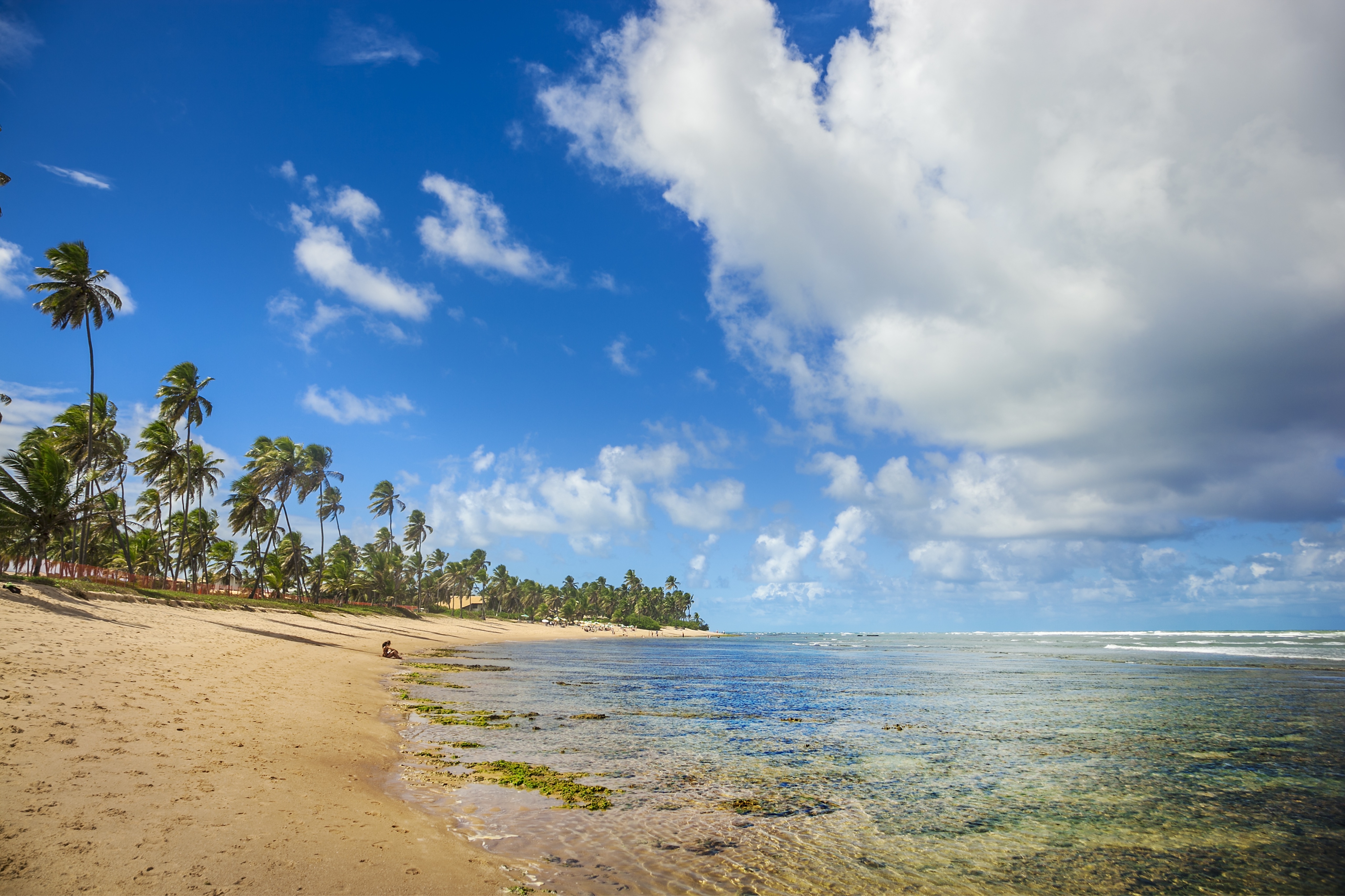 Praia do Forte, Bahia, Brasil