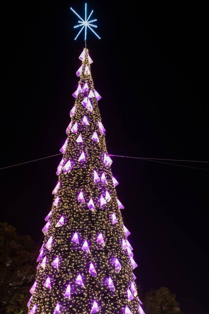 40 Pinheiro de Natal decorado com luzes roxas