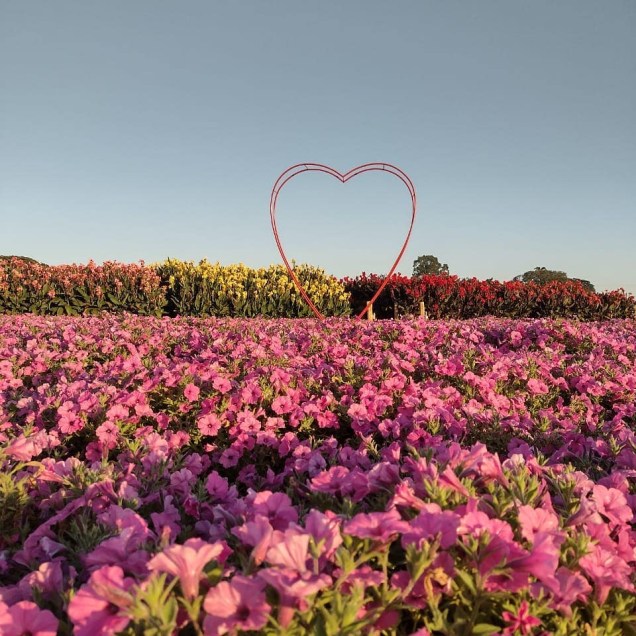 Os campos abertos à visitação têm cenários para ensaios fotográficos.