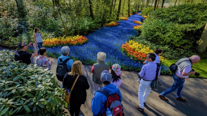 Jardins de Keukenhof, Lisse, Holanda