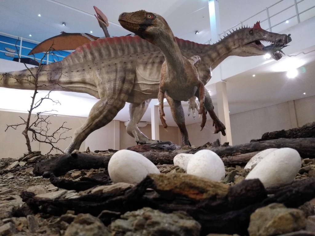 Museu de Paleontologia Plácido Cidade Nuvens Museu de Paleontologia Plácido Cidade Nuvens