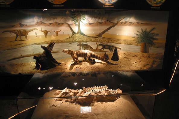 museu dos dinossauros museu dos dinossauros