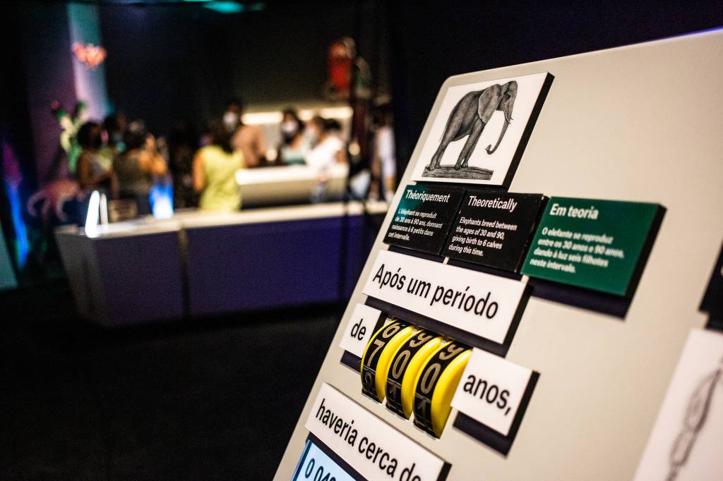 Exposição Darwin o original, Sesc Interlagos, São Paulo A imagem mostra um painel com uma data