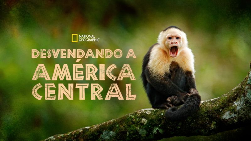 Desvendando a América Central, Disney+ Desvendando a América Central, Disney+