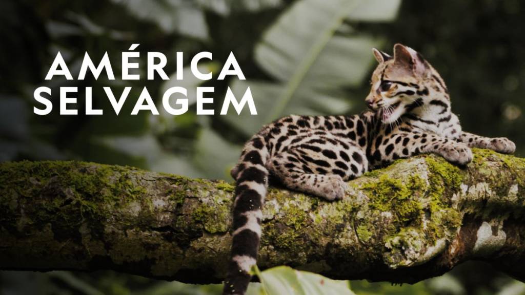 América Selvagem, Disney+ América Selvagem, Disney+