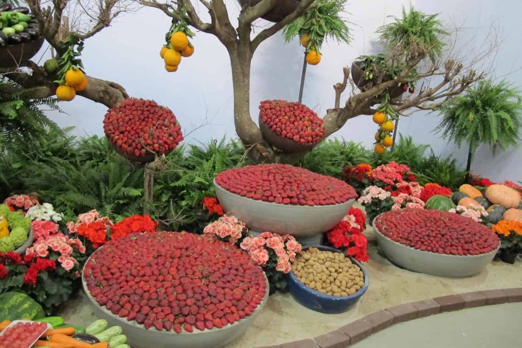 Festa de Flores e Morangos de Atibaia, Atibaia, São Paulo, Brasil