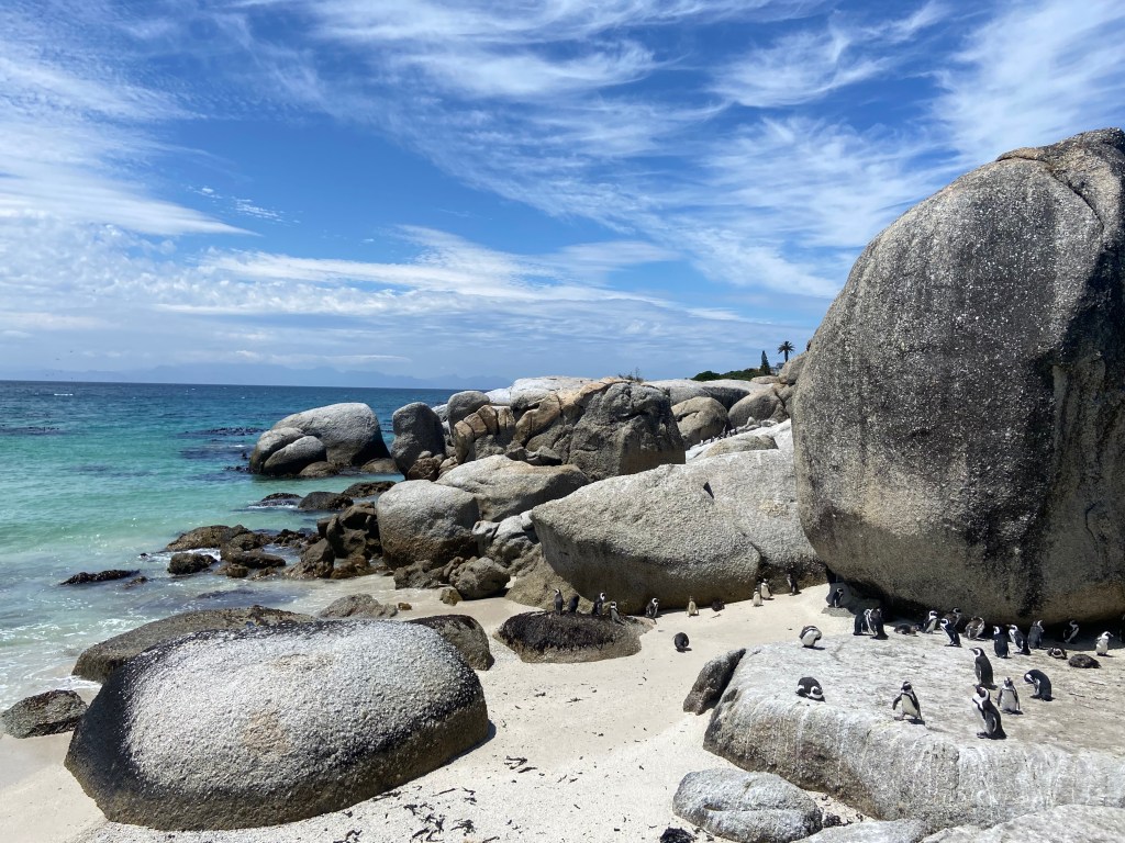 Boulder's Beach, Cidade do Cabo, África do Sul