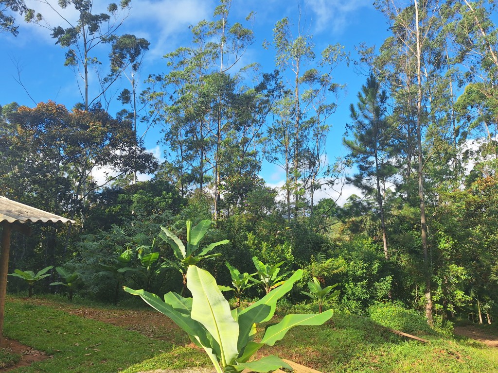 Aldeia Tenondé Porã, Parelheiros, São Paulo