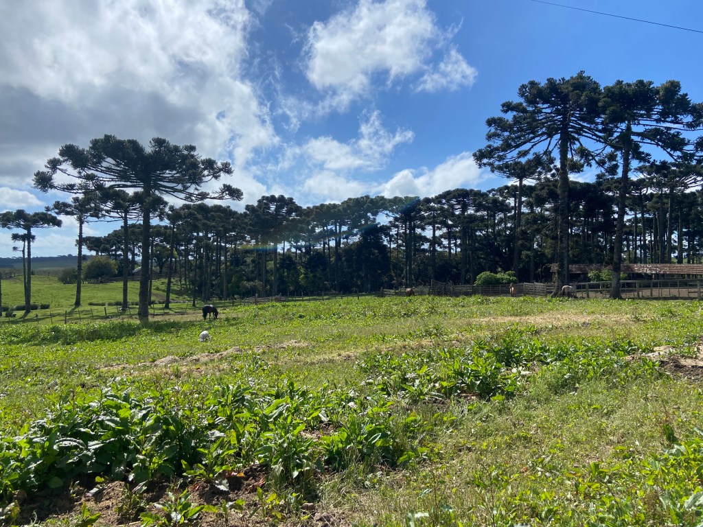 Parador, Cambará do Sul, Rio Grande do Sul, Brasil