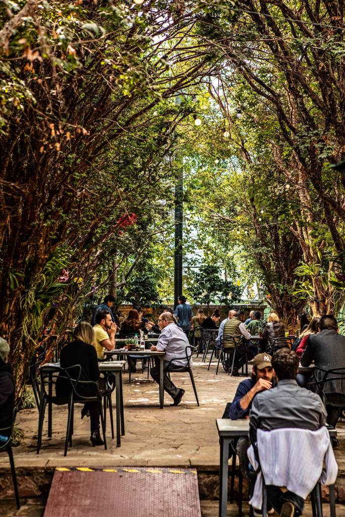 Ama.zo, São Paulo, Brasil Ama.zo, São Paulo, Brasil