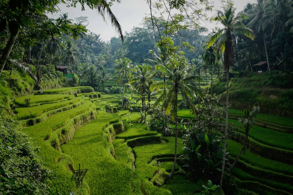 Bali, Indonésia Bali, Indonésia