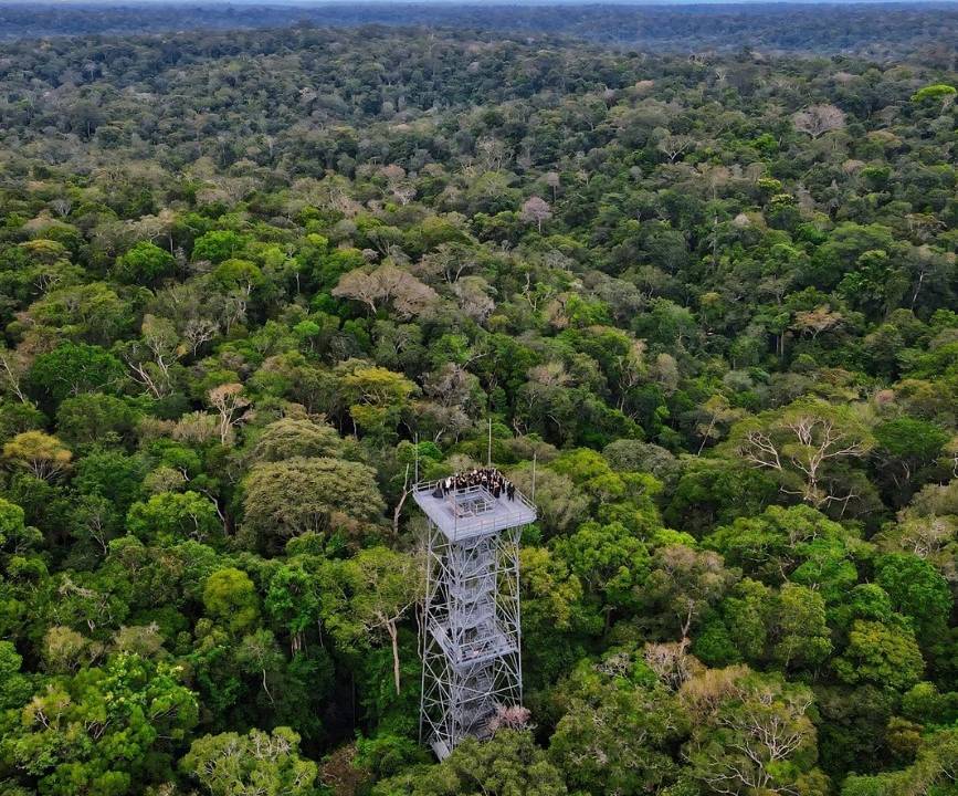museu-da-amazonia-musa-torre-de-observacao