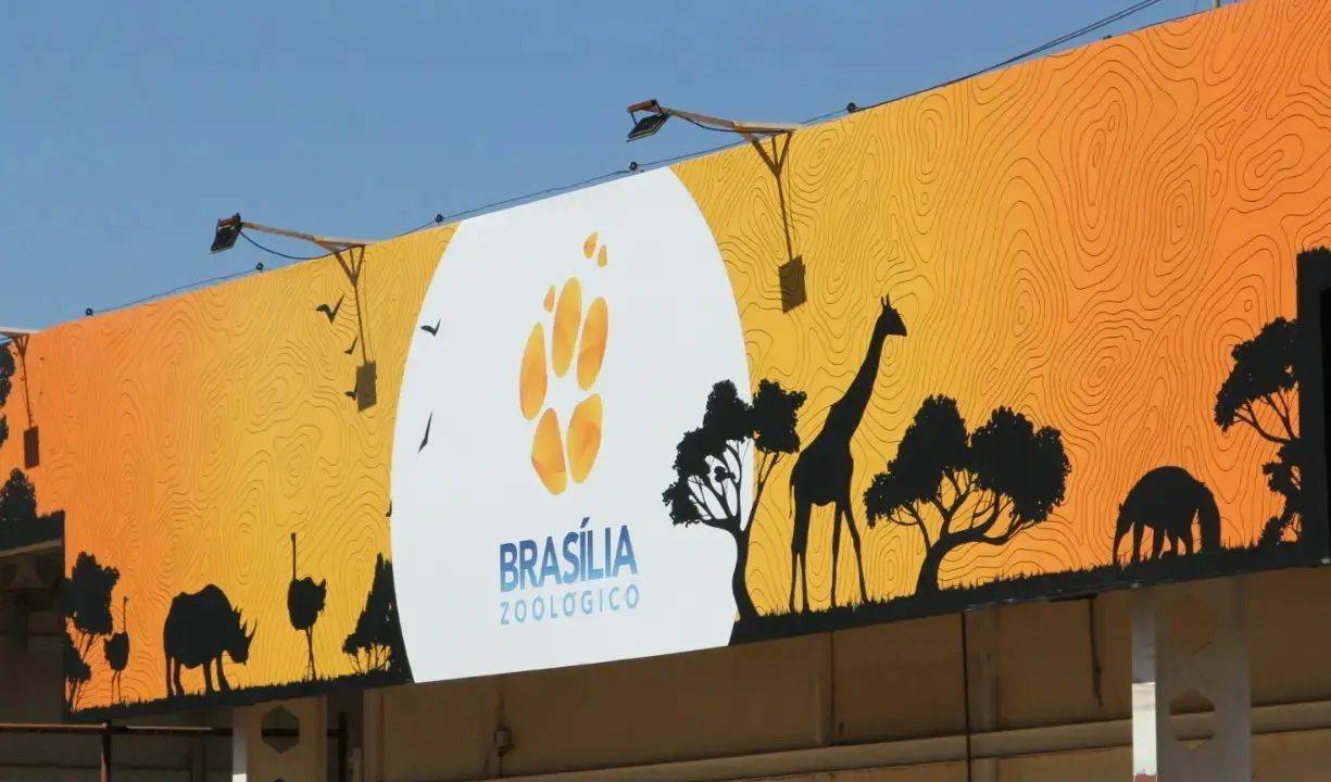 zoologico-de-brasilia-como-conhecer-fauna-brasileira
