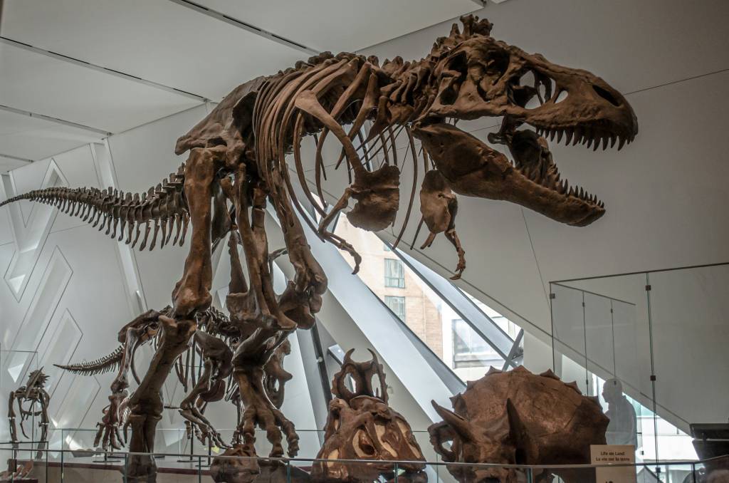 museu-ontario museu-ontario