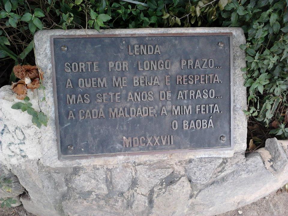 baoba-maria-gorda baoba-maria-gorda