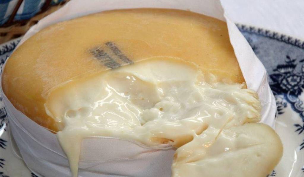 queijo-serra-da-estrela queijo-serra-da-estrela